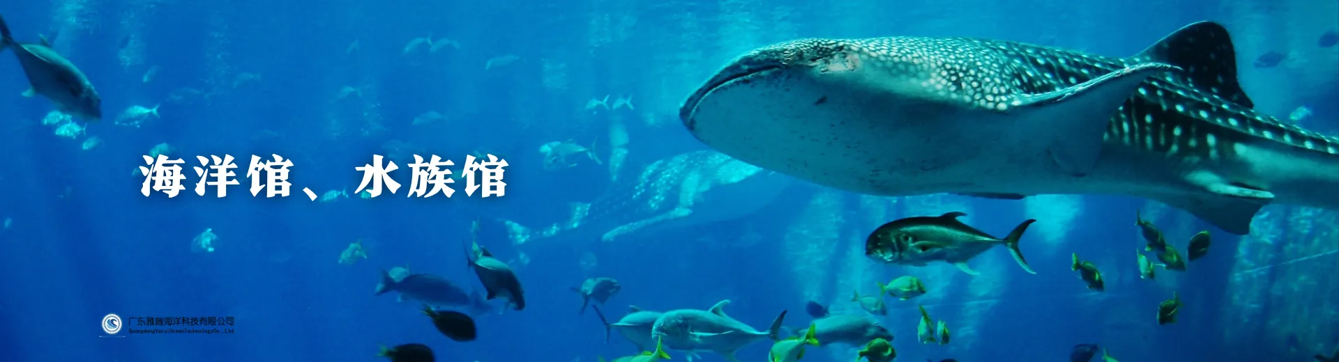 海洋馆、水族馆